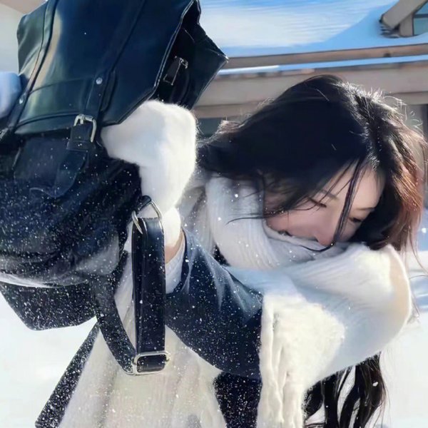 天空中的金星